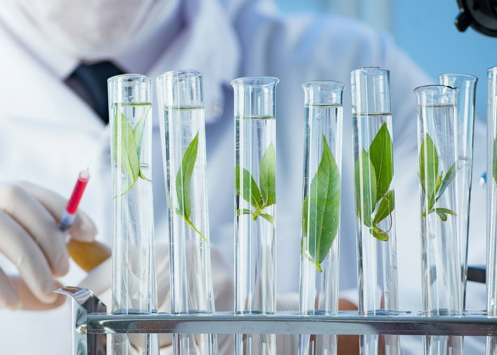 黃石市鉅晟重型汽車配件有限公司